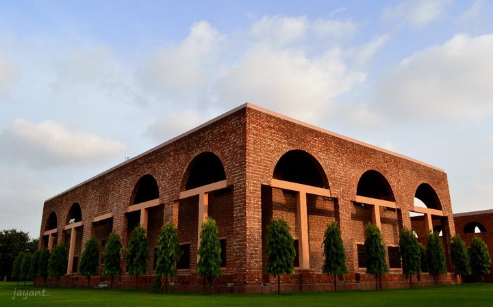 Descriptive Alt Text